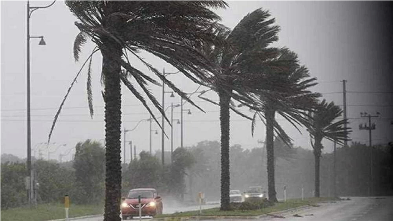 «الأرصاد» تنبه من طقس اليوم.. 3 ظواهر جوية تضرب البلاد في الساعات المقبلة | عاجل